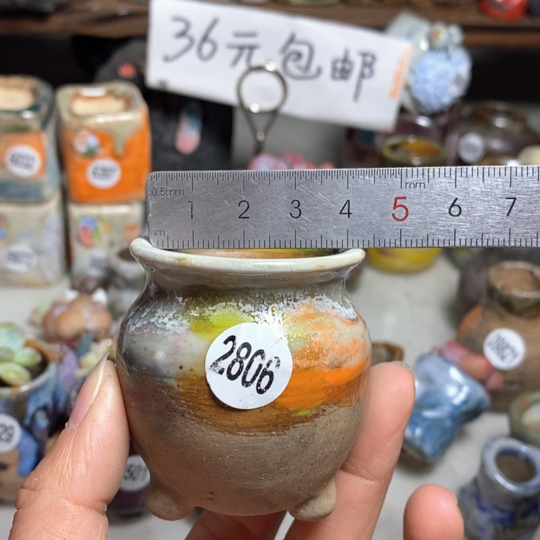 花盆拍5送一个小礼物