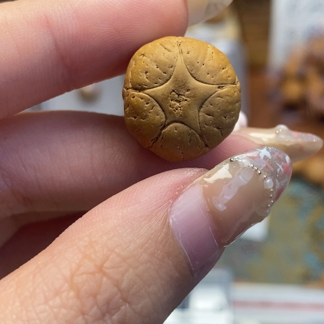 凤眼菩提吊坠五星