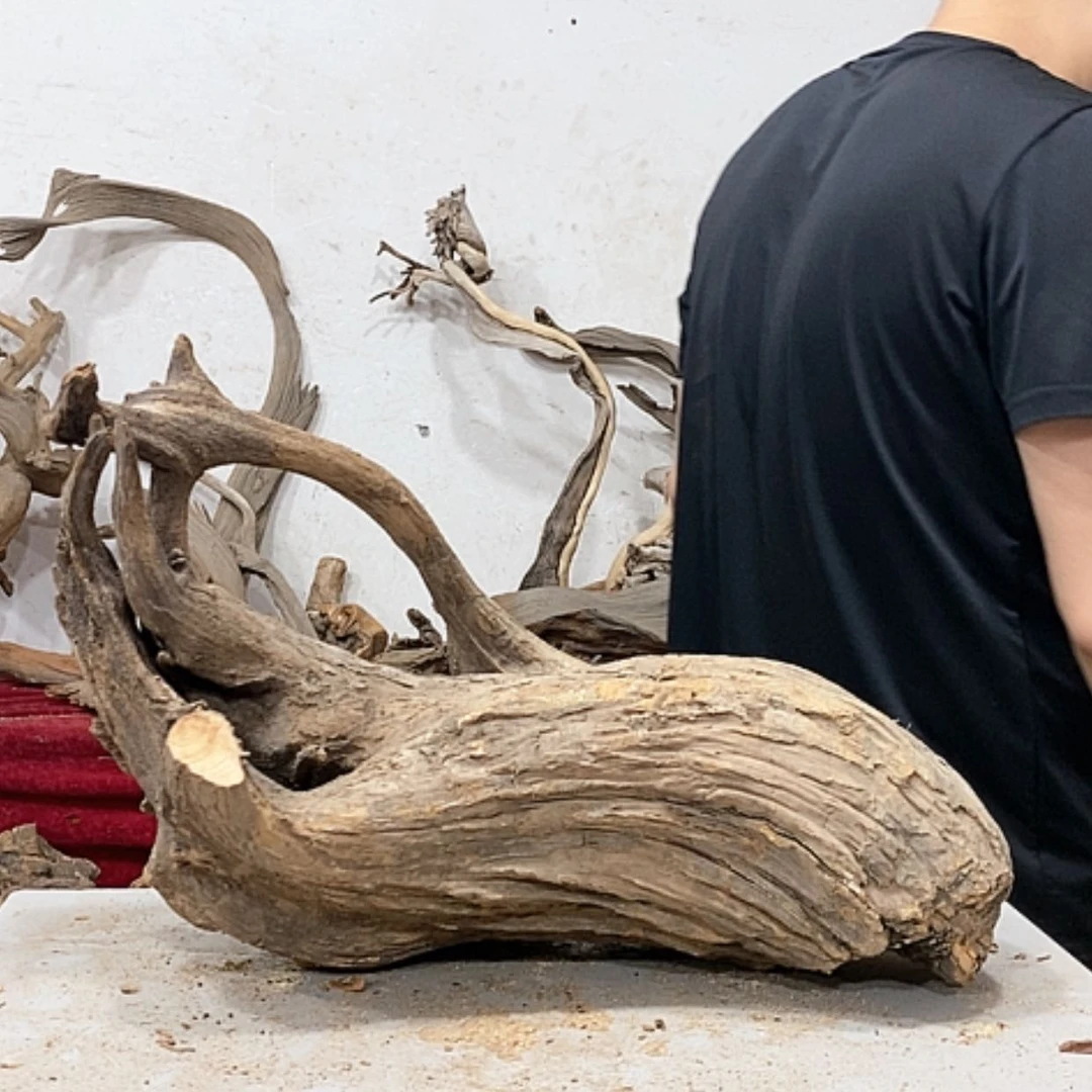 【闪购商品】柏木听**叶我们的目标是成为更优秀更优秀