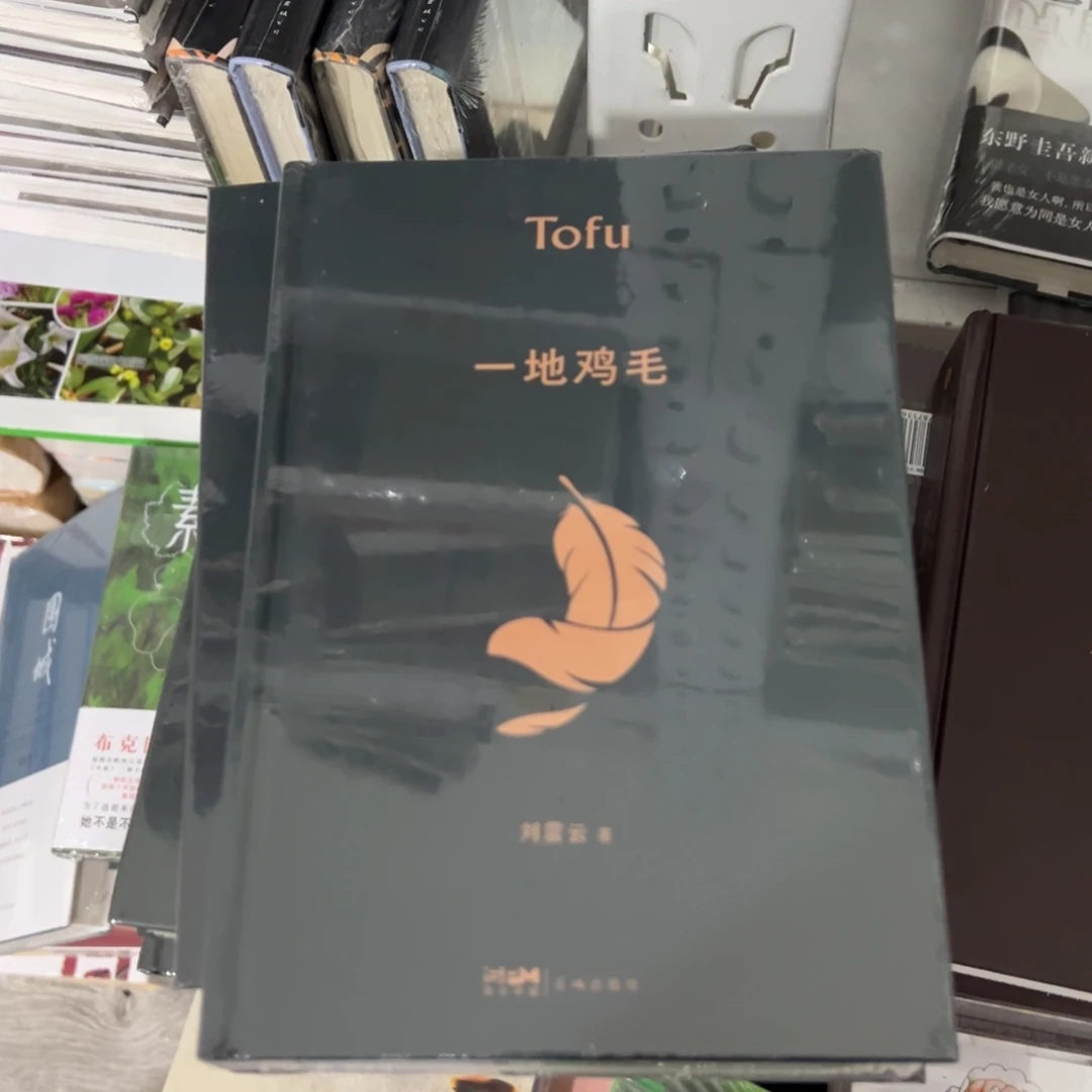 一地鸡毛精装一个