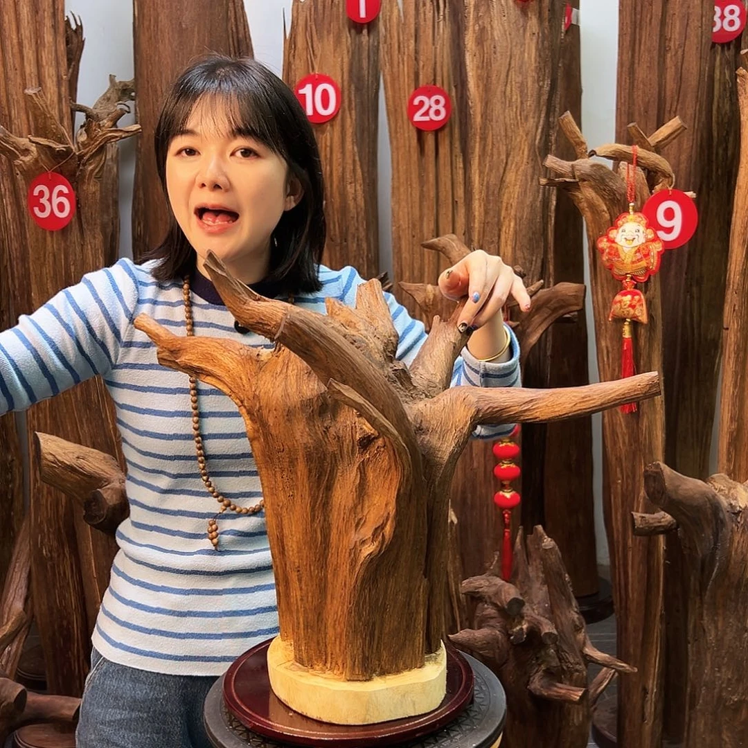 沉香沉香碎屑天然沉香原料