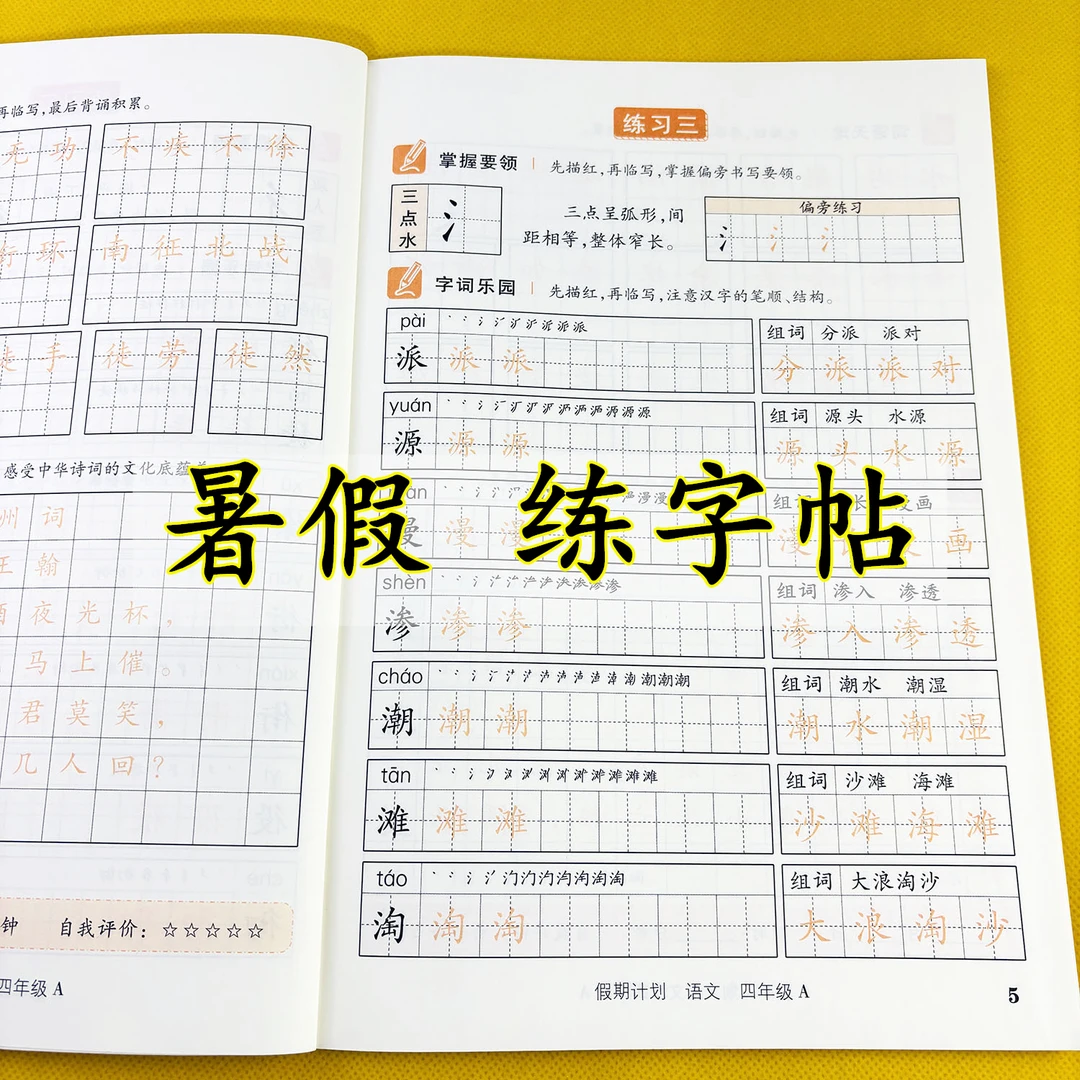 四升五暑假练字帖假期计划暑假专项训练暑假作业四年级暑假练字本