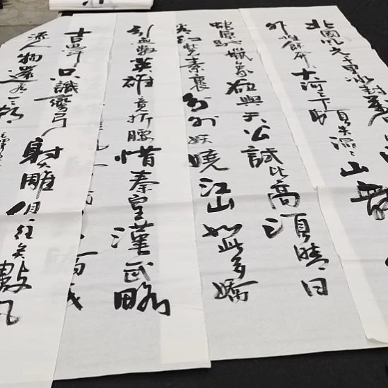翰墨白武坤老师作品一副