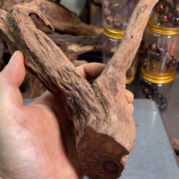 黄花梨/降香黄檀逍*遊