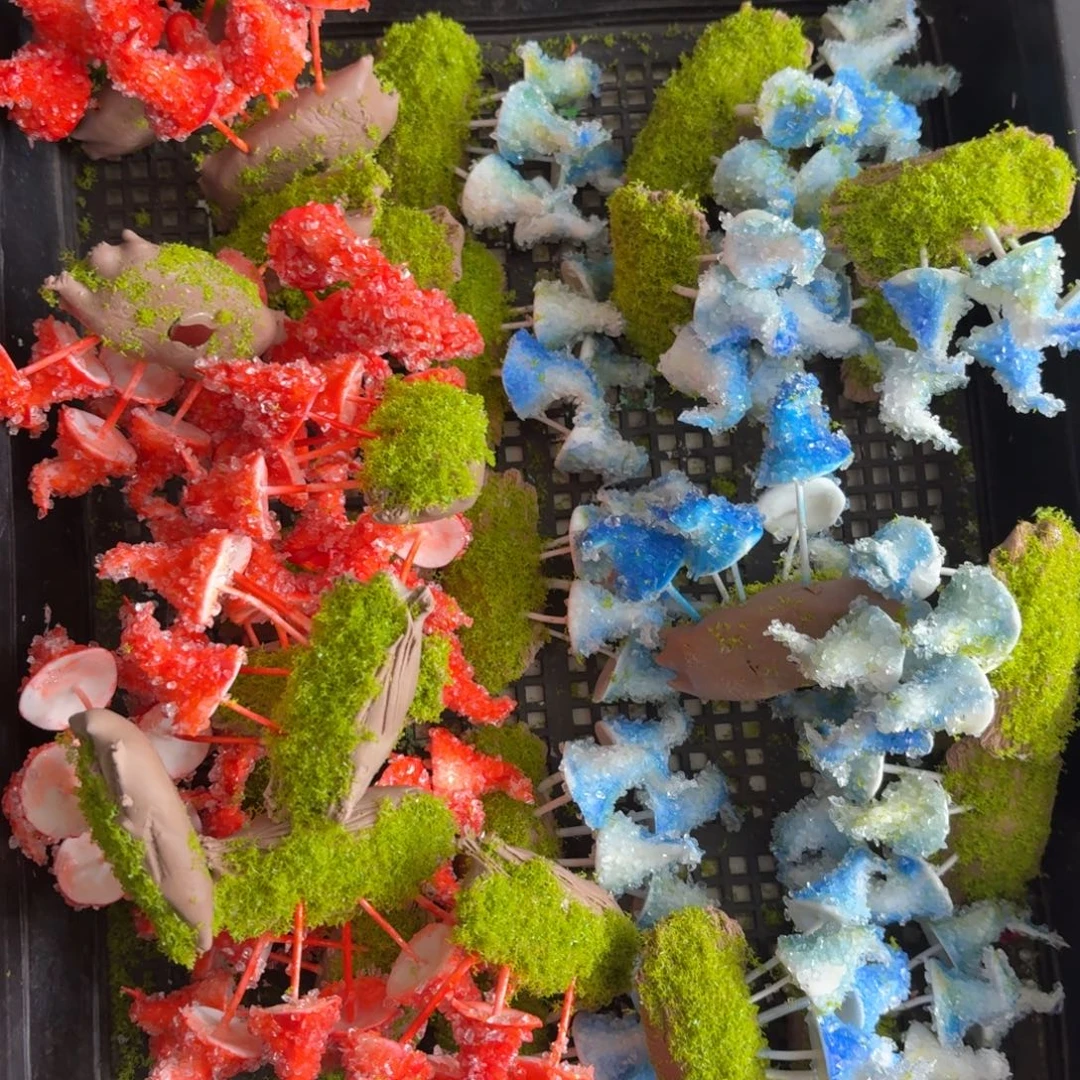 树脂76号2个哦哦哦哦哦哦哦