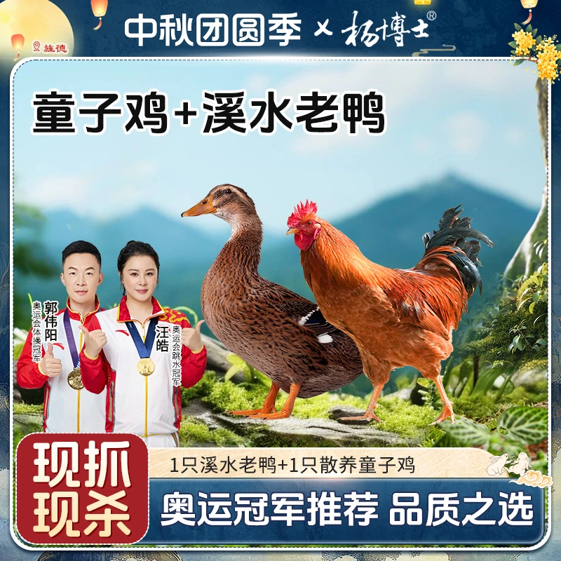 【溪水老鸭+童子鸡】杨博士皖南溪水放养土鸭散养新鲜现杀红烧炖汤