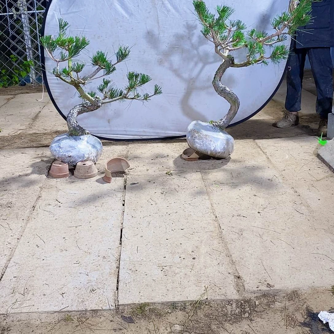 倩***饰完全开放1111111111111111