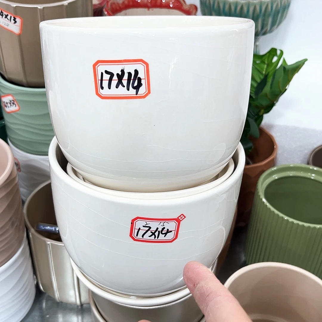 花盆花盆花盆花盆花盆花盆花盆花盆