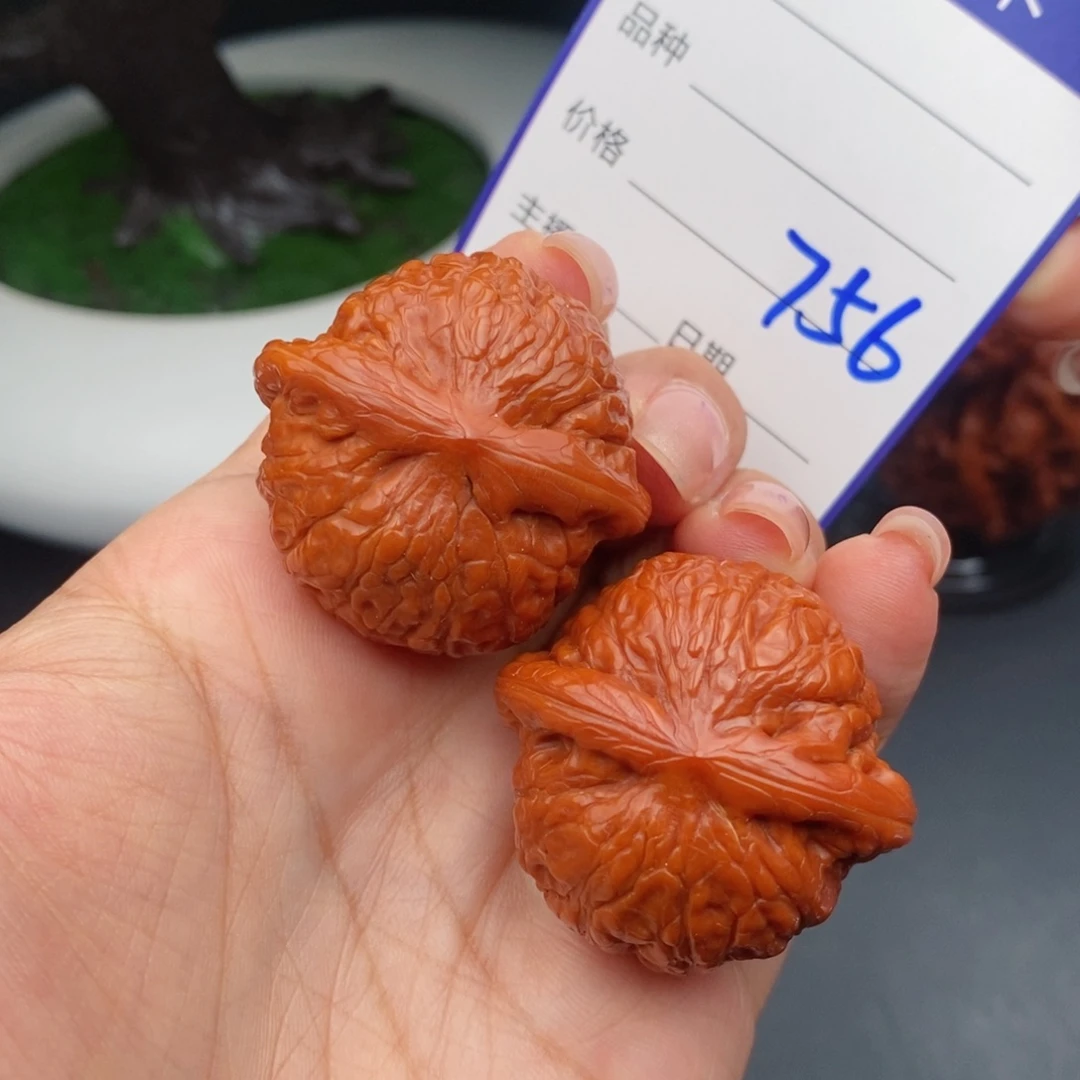 文玩核桃把件36乾隆磨756