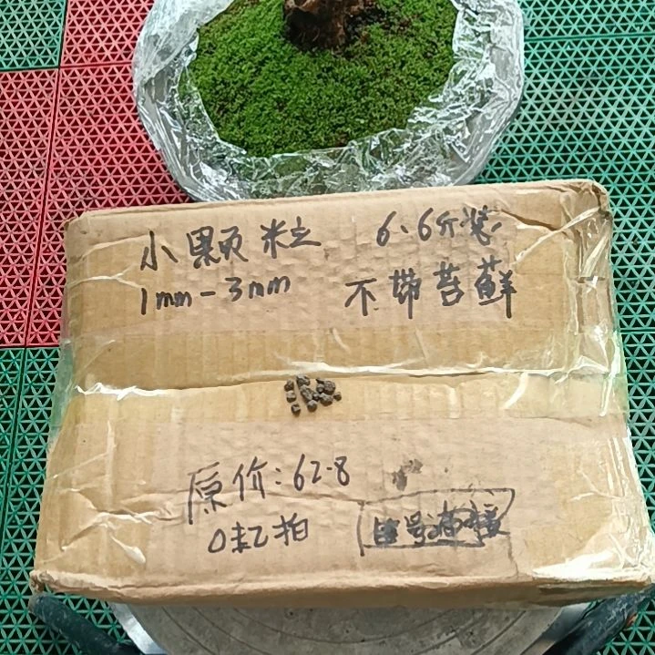 清***风兰菌颗粒   小颗粒6.6斤