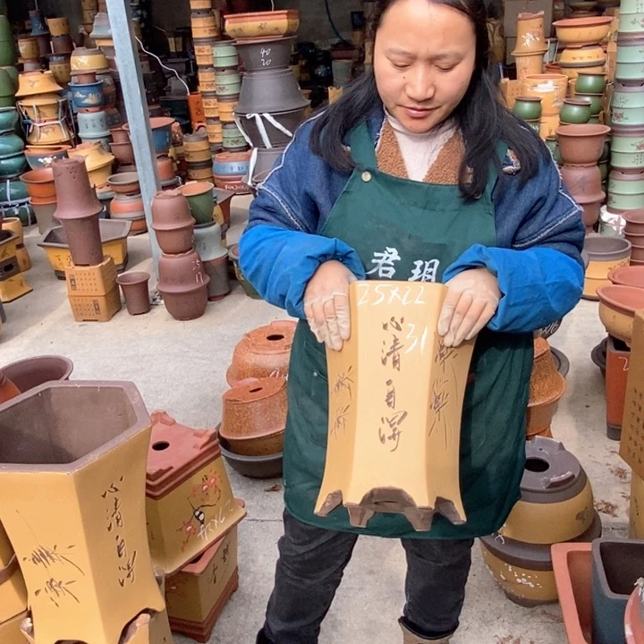 紫砂花盆盆栽花卉苗木种植