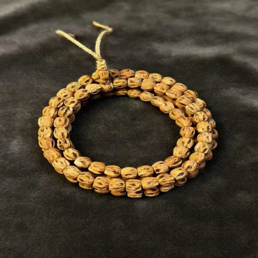 藏切尸陀鬼——百香籽