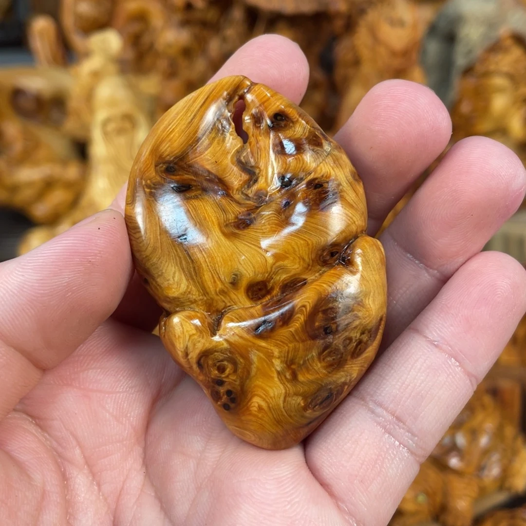 柏木（崖柏）太行崖柏