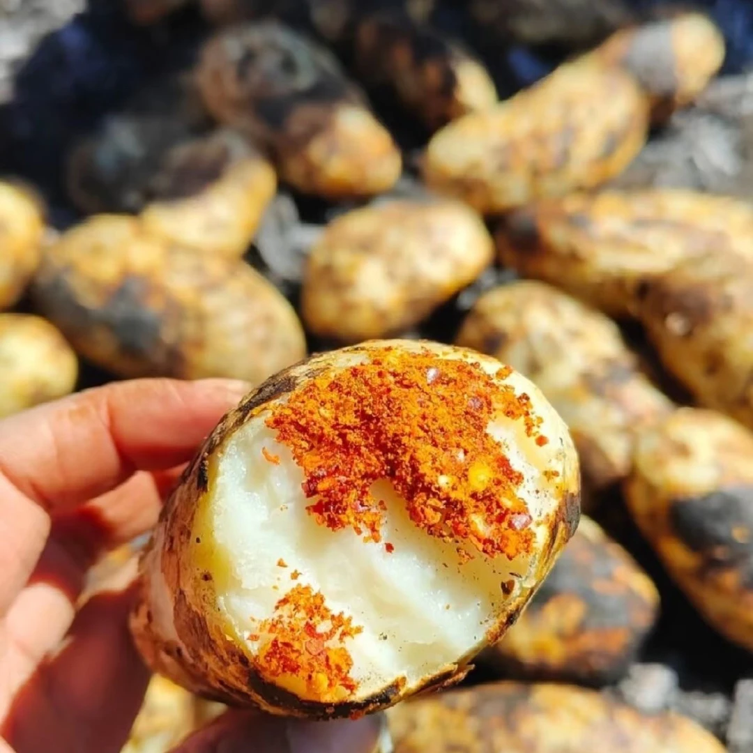 贵州高山黄皮土豆老品种洋芋新鲜粉糯洋芋黄心