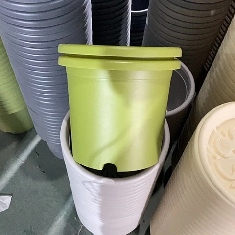 树脂特价4号8个无托果绿