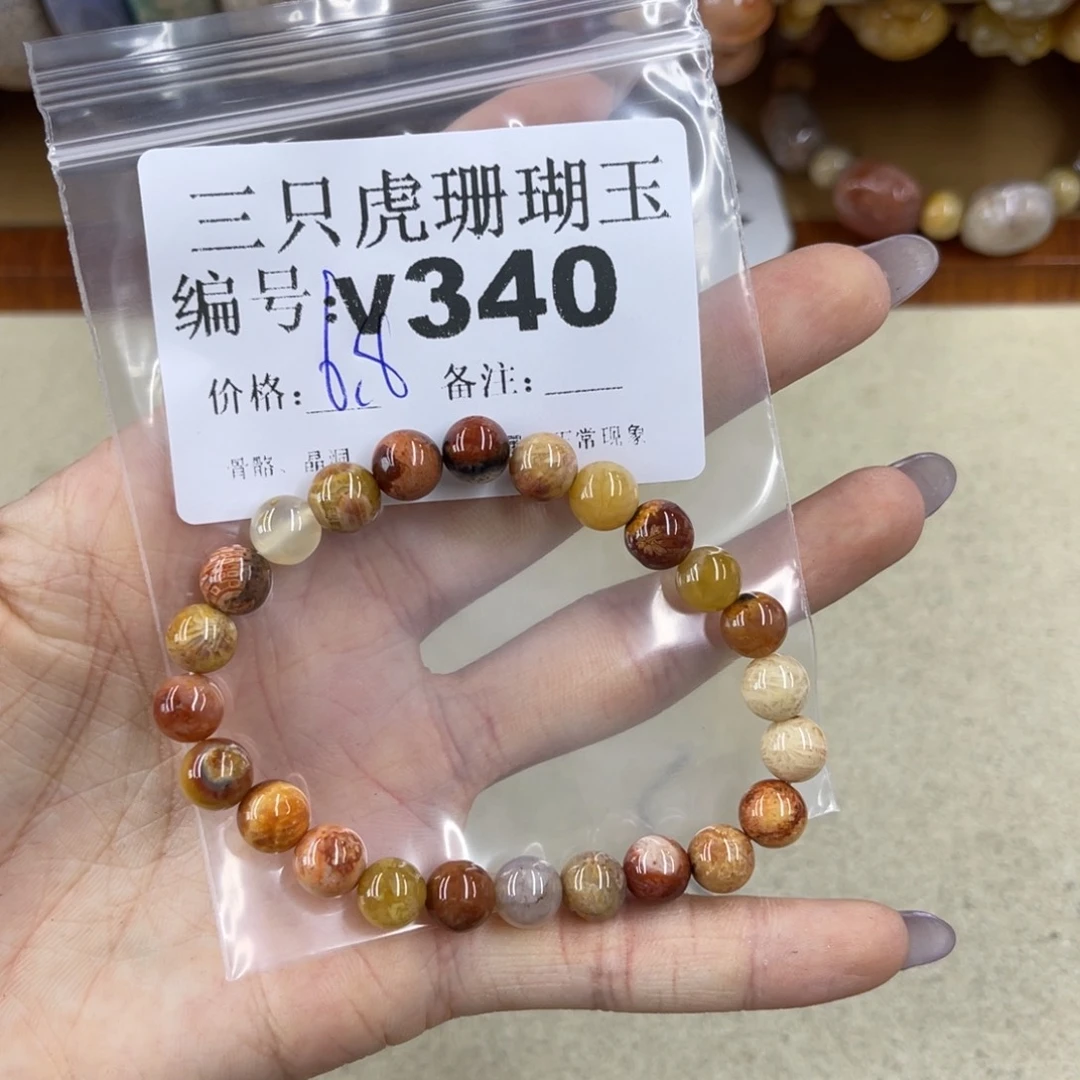 ****辰硅化珊瑚（珊瑚玉）未镶嵌h