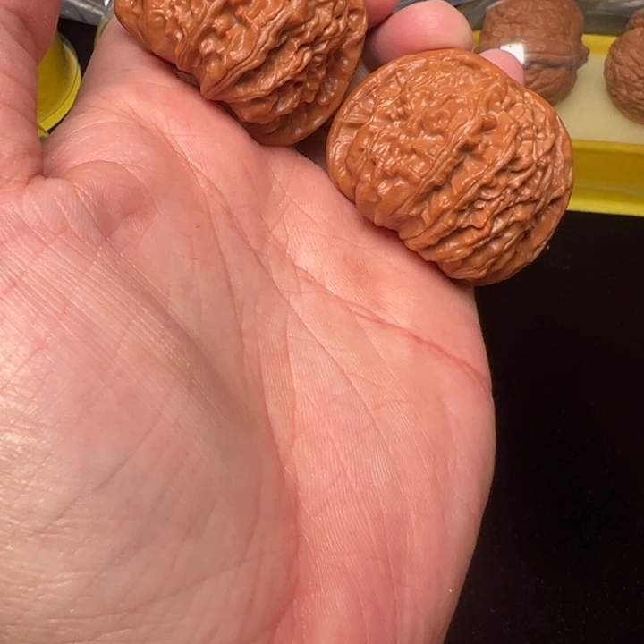 核桃白狮子，42已打底