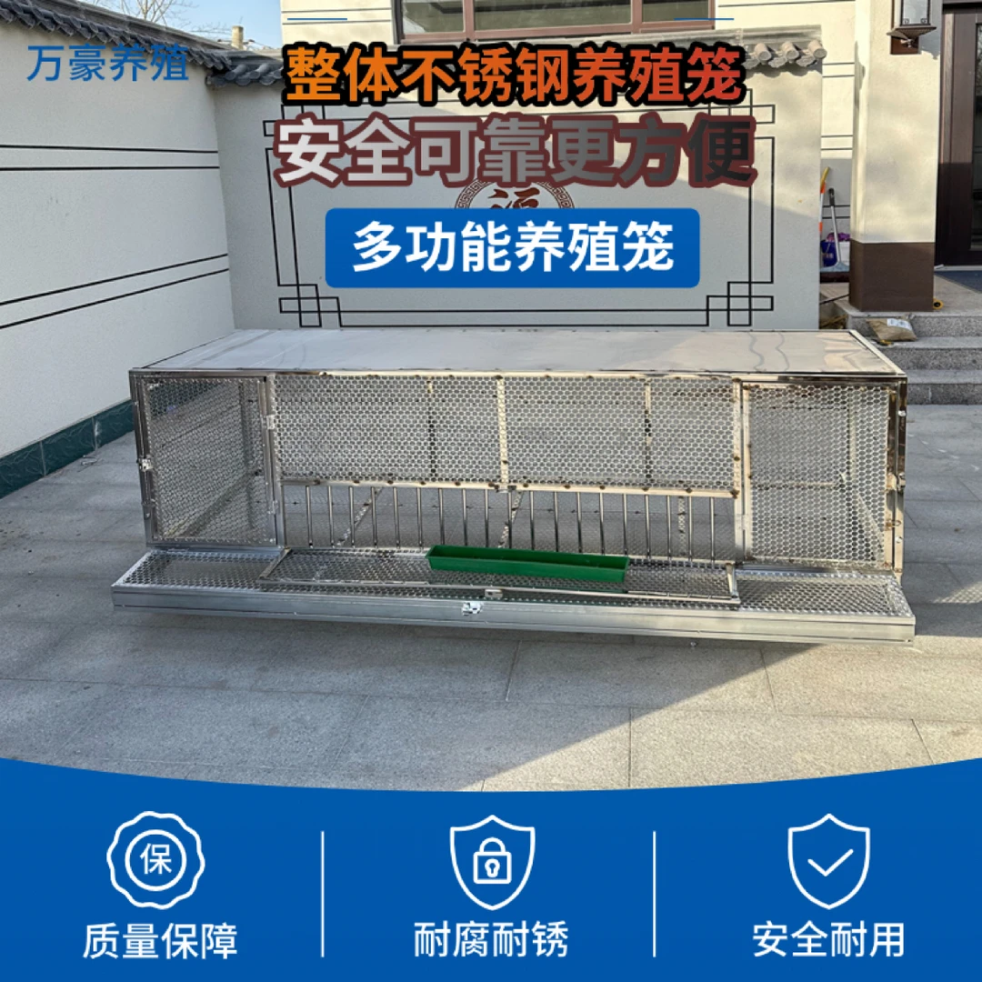 整体不锈钢户外防鼠自动收蛋鸡笼防啄加大空间结实耐用家庭养殖