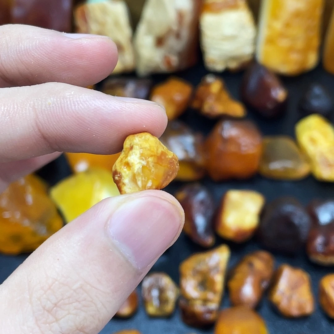 定制琥珀未镶嵌走****壳定制