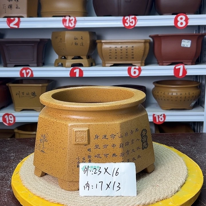 紫砂花盆你在一起