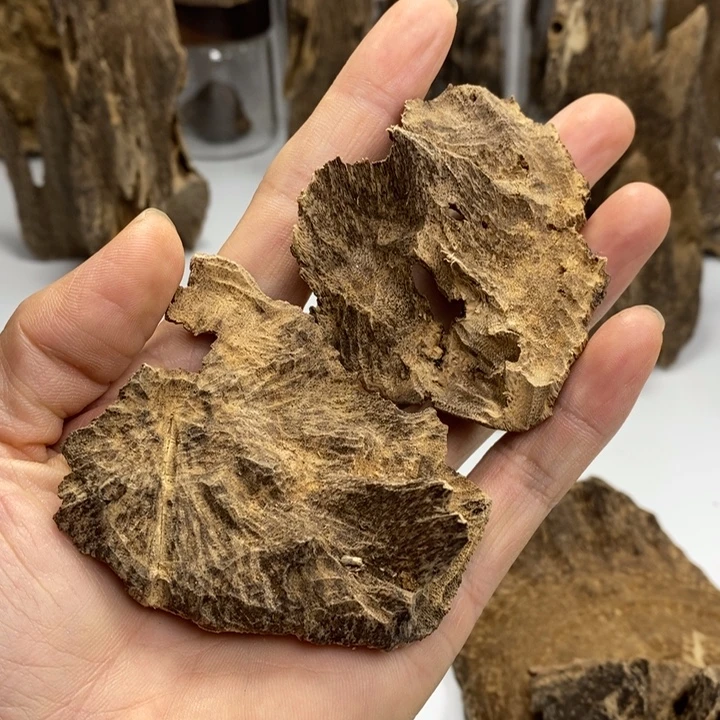 国香老壳子10.7克