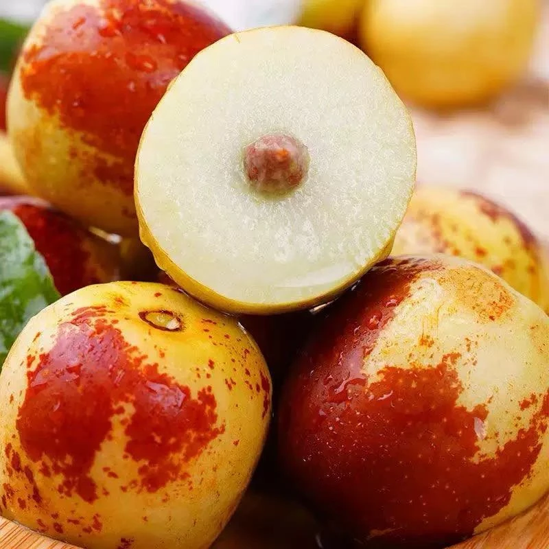 【乌市及周边发货】4kg净重 精品陕西冬枣  新鲜到货陕西省