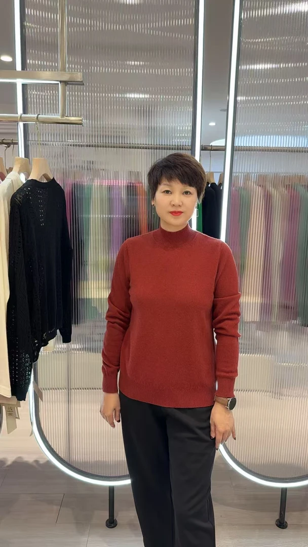 【一件过冬 羊绒】DY100新款半高领纯色厚款女秋冬时尚百搭羊绒衫