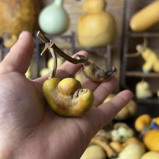 N****)土豆连枝厚皮一把握