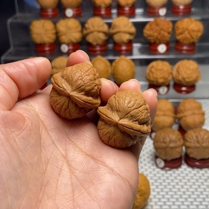 文玩核桃把件50金龟玉甲