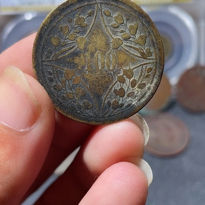 金通古博今专卖店海海海