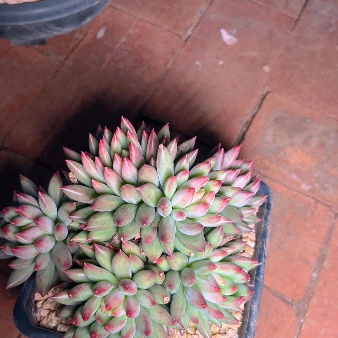 928111111111111111111111