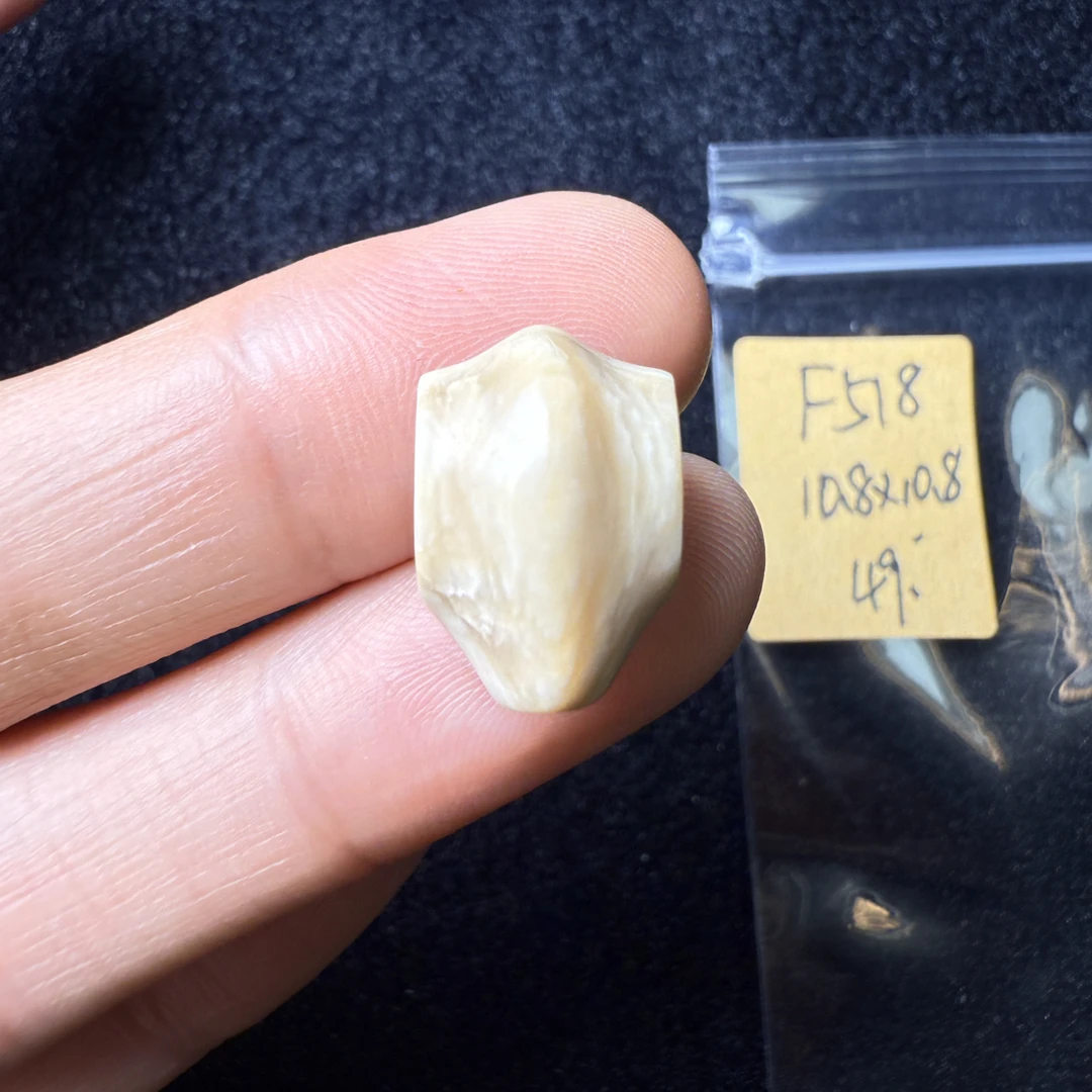 F518猛犸象牙鲨鱼背三通尺寸10.8*10.8mm果冻料