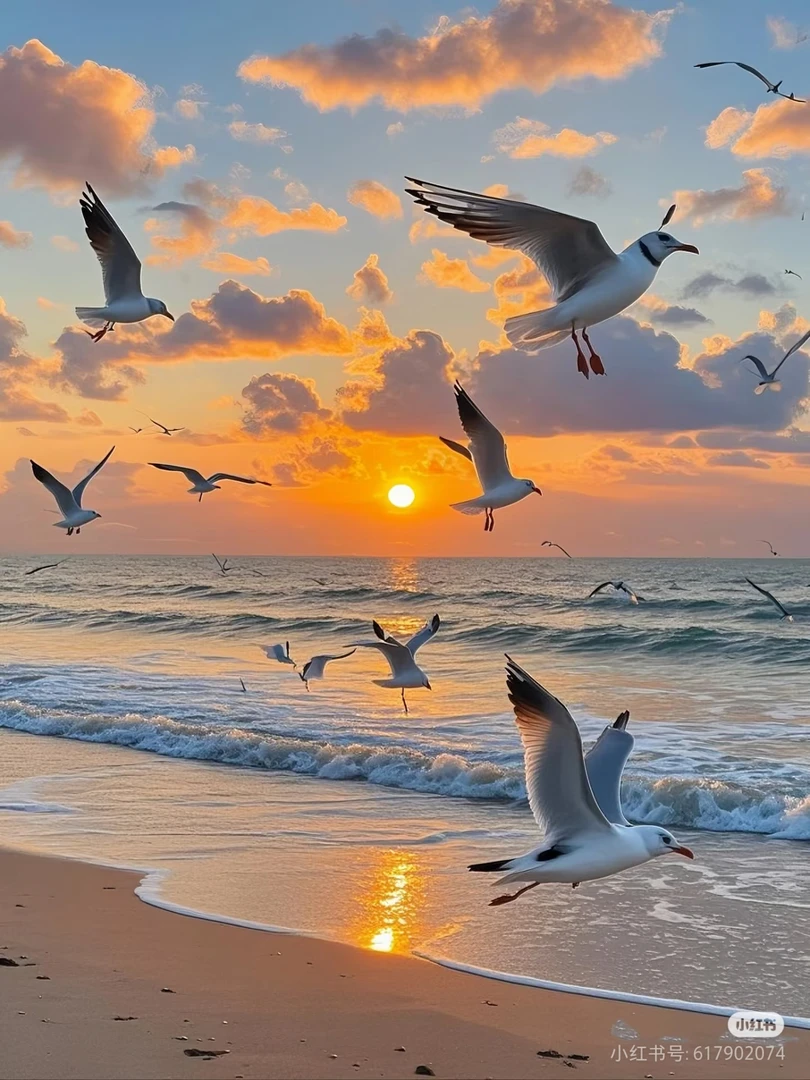 【贴布小M】【5127】2025年夏季潮流百搭男女同款时尚百搭短袖