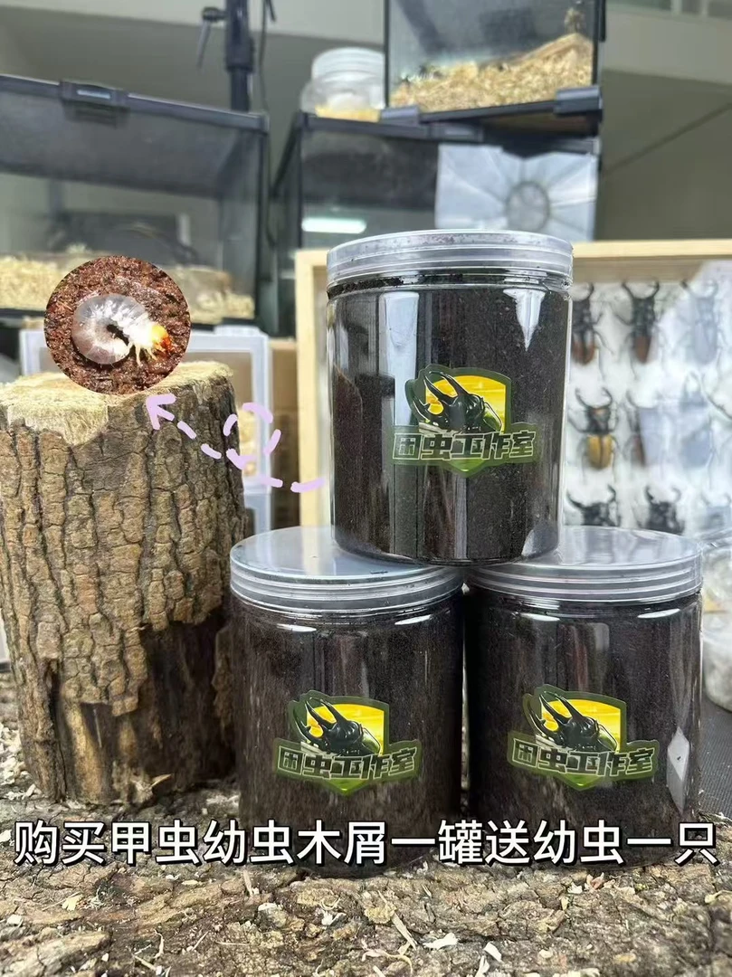 长戟大兜虫幼虫无忧饲养罐（3个月使用）
