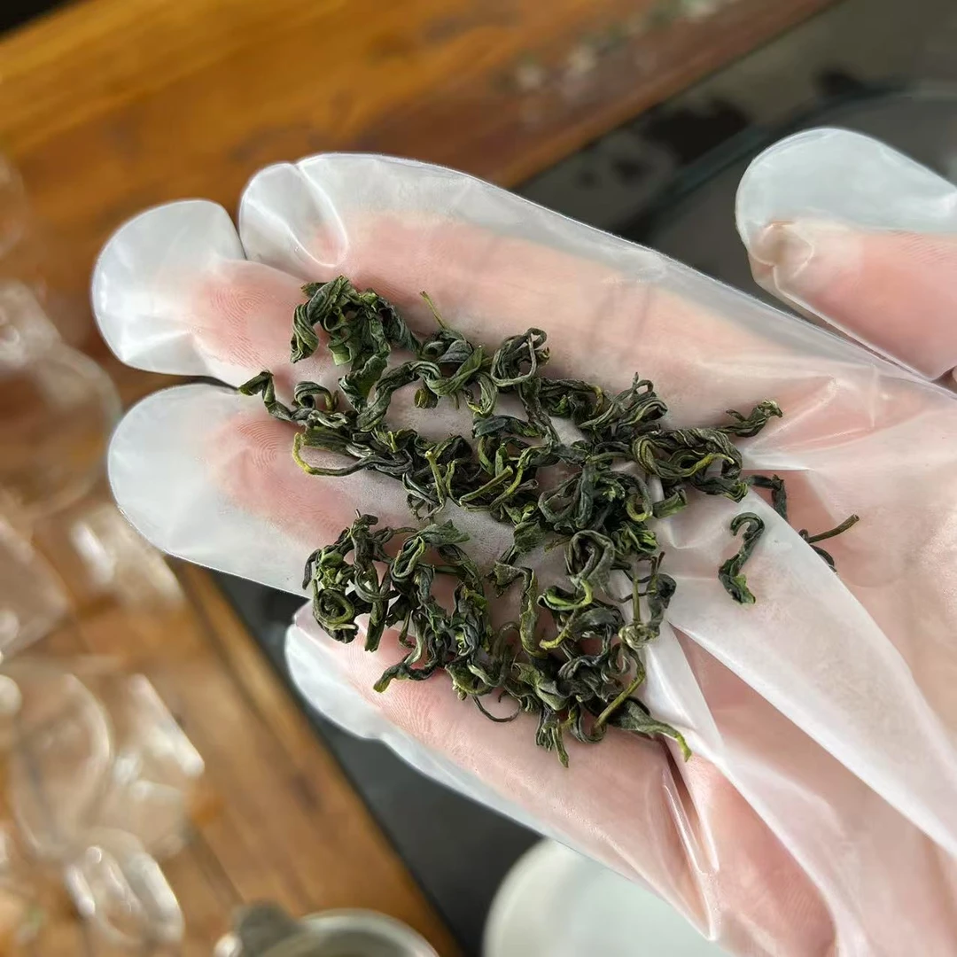 雲松山日照绿茶九月下旬板栗香浓香耐泡口粮茶老茶客