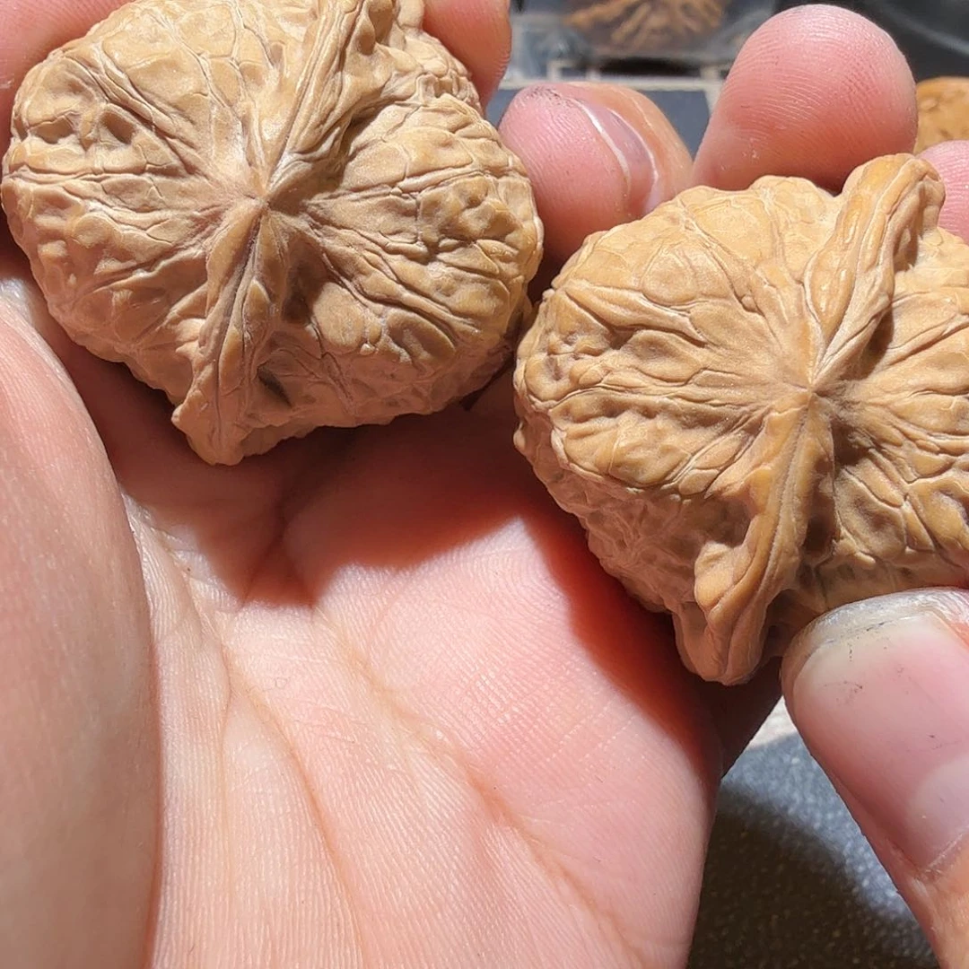 文玩核桃把件南瓜