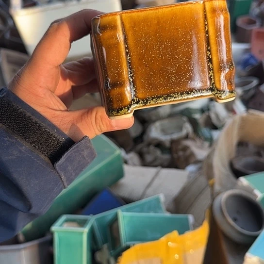 这一期太有意思咯好棒好可爱