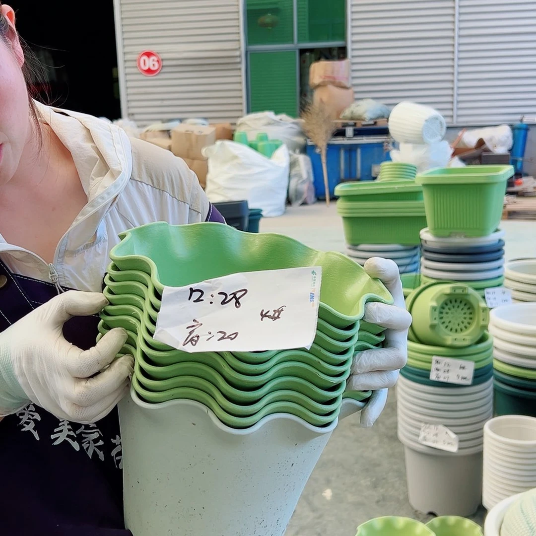 瑕疵荷叶盆4#混色10个无托