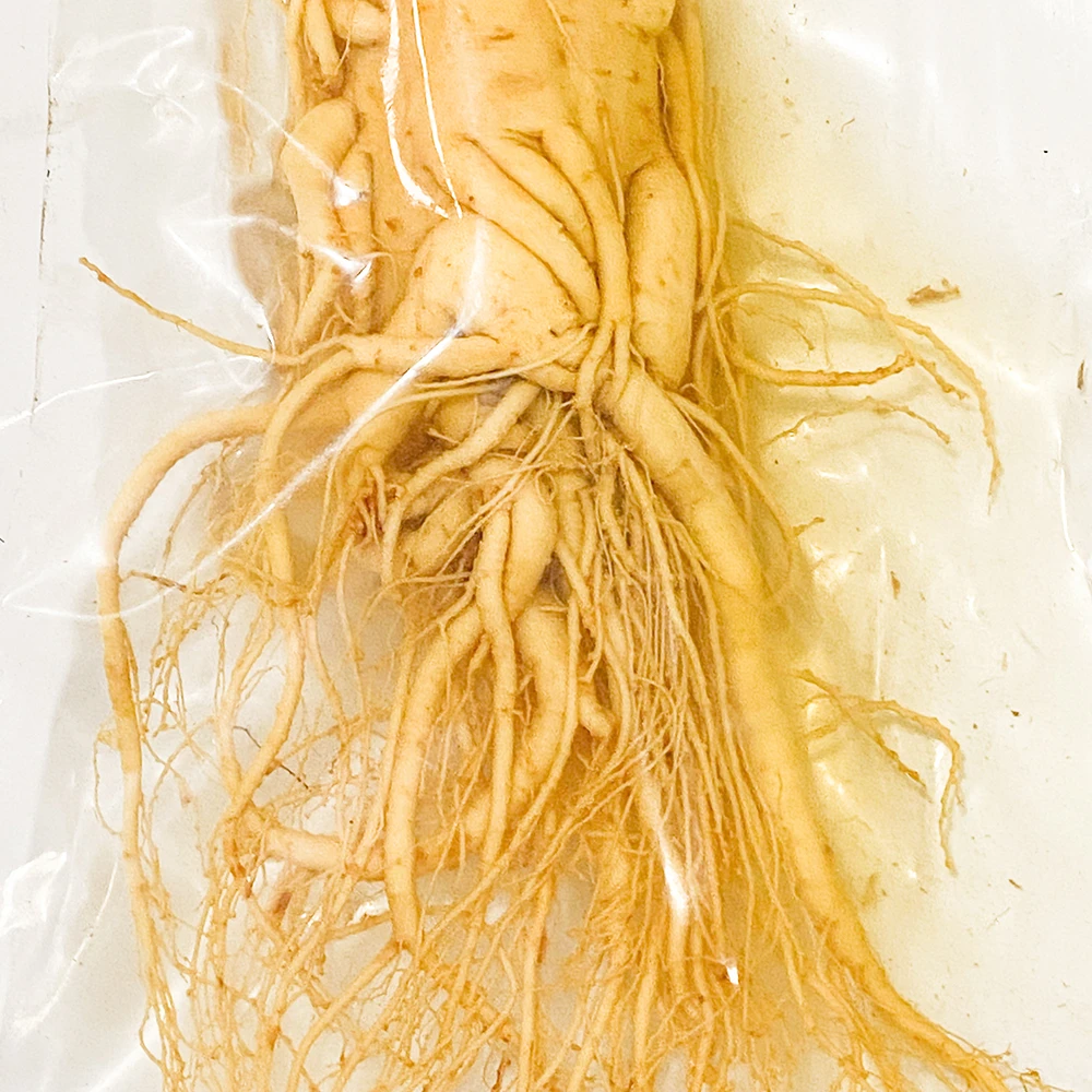 长白山保鲜参250g♥