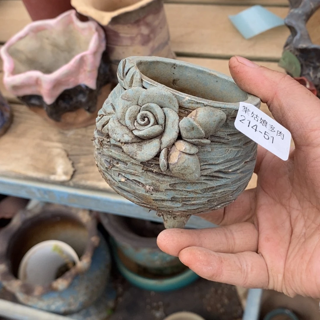 红陶奶****?51号多肉盆一个呀