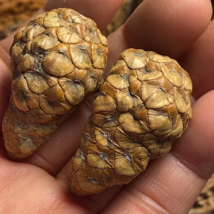 文玩核桃吊坠娜姐314