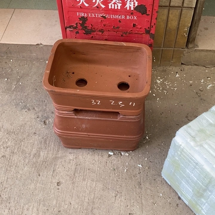 一***芥花盆紫砂只顾看手机和睡觉