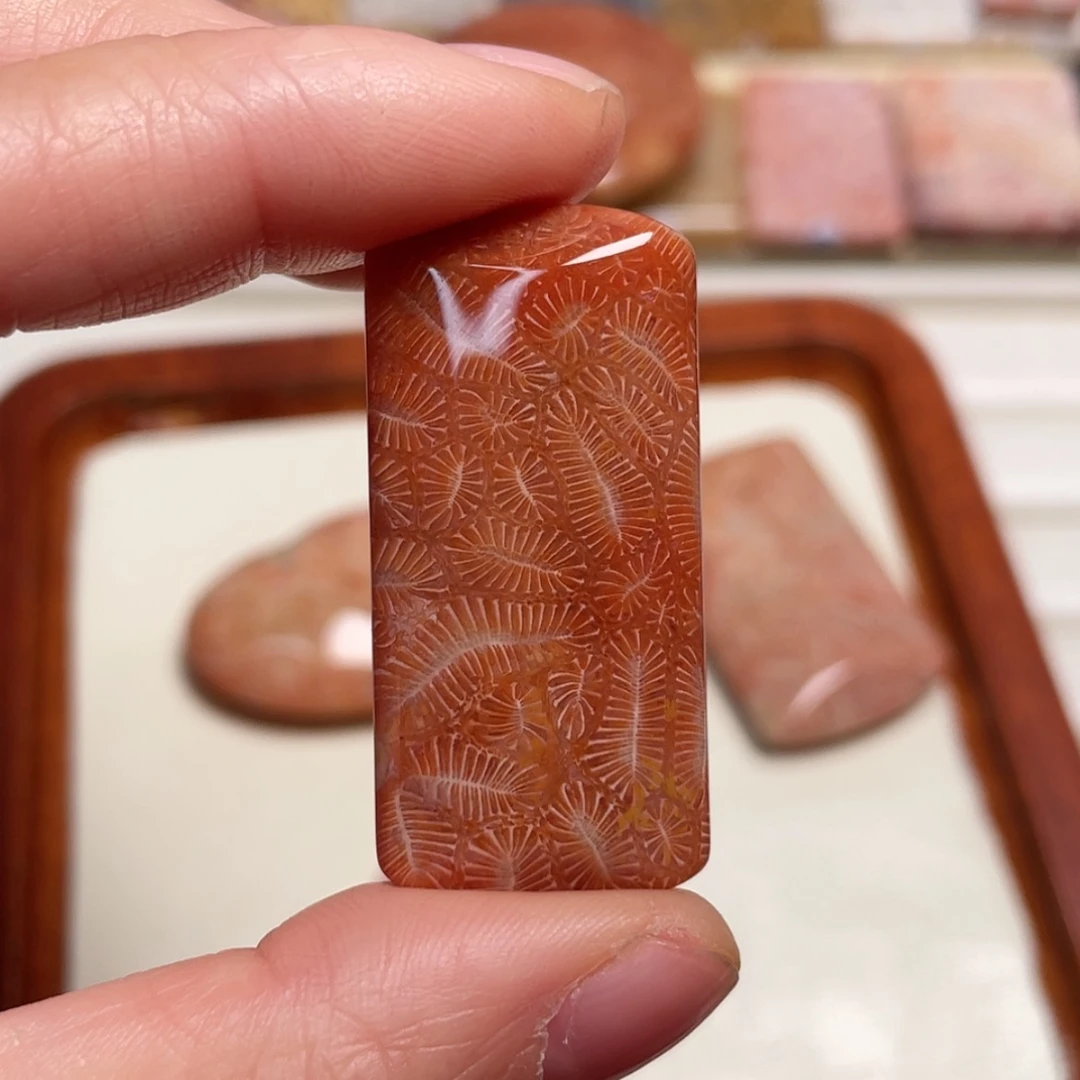 【闪购商品】未镶嵌吊坠(赠链)硅化玉?**～