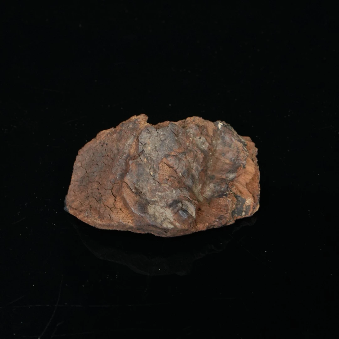 A6266 金坚玉润海南风化料沉香沉水浮 8.7x4.48x1.48cm 21.6g