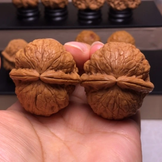 文玩核桃把件金龟玉甲22