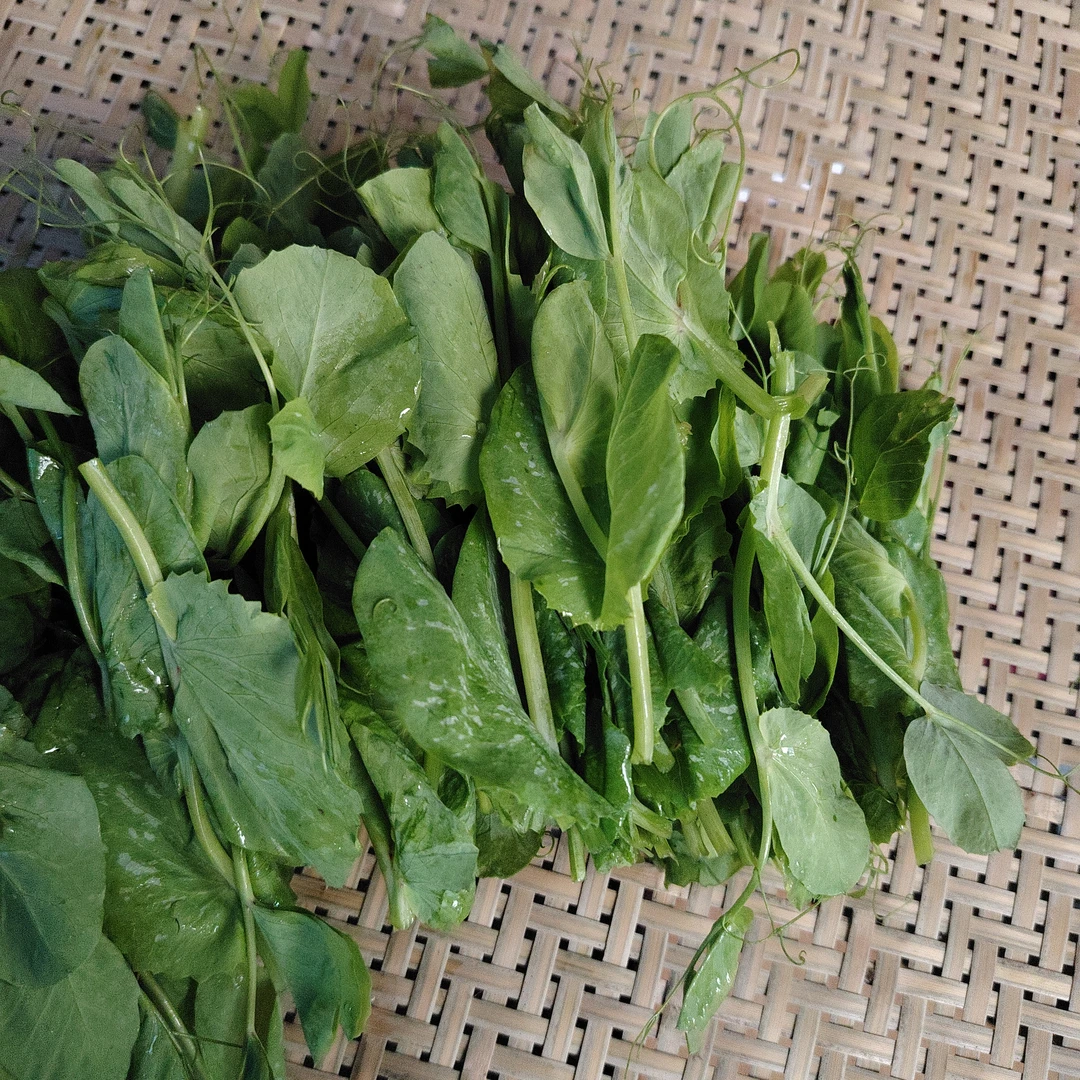 【寻味荫平】农家豌豆尖豌豆苗2斤