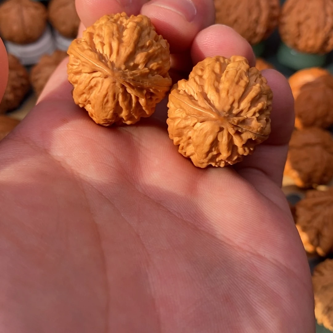 文玩核桃把件肉龙