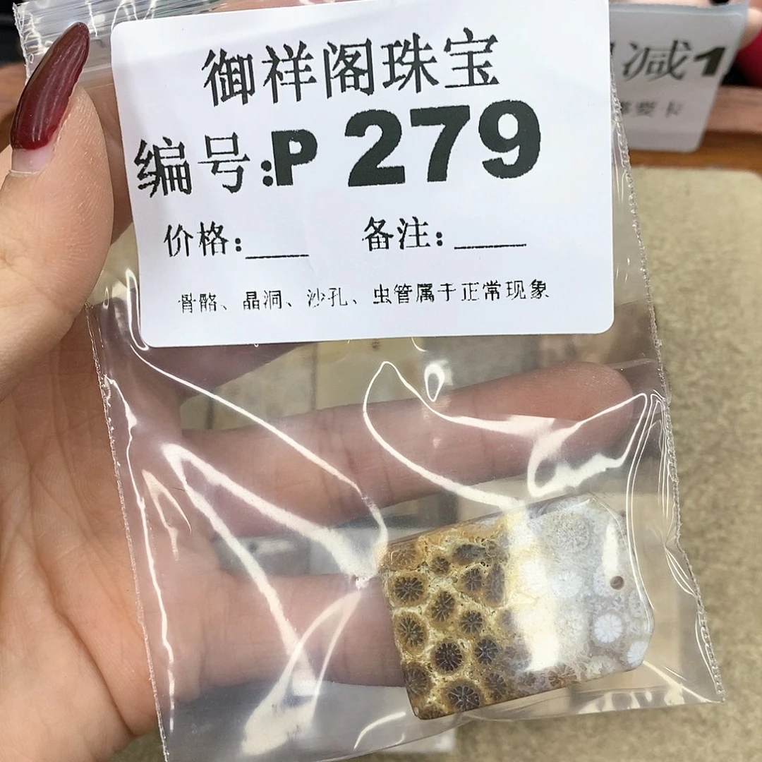 硅化珊瑚（珊瑚玉）P未镶嵌张**?