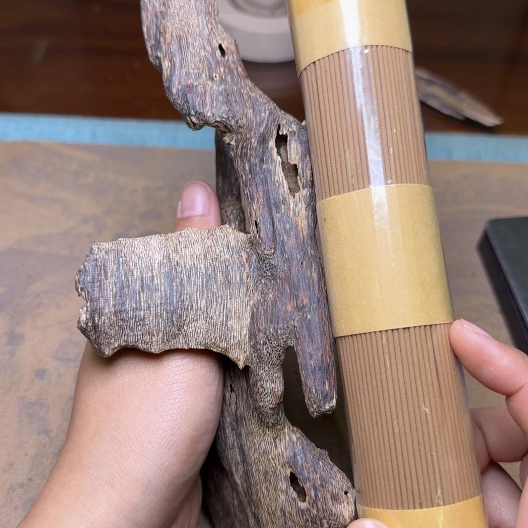 海南尖峰岭虫漏29.2克重福利