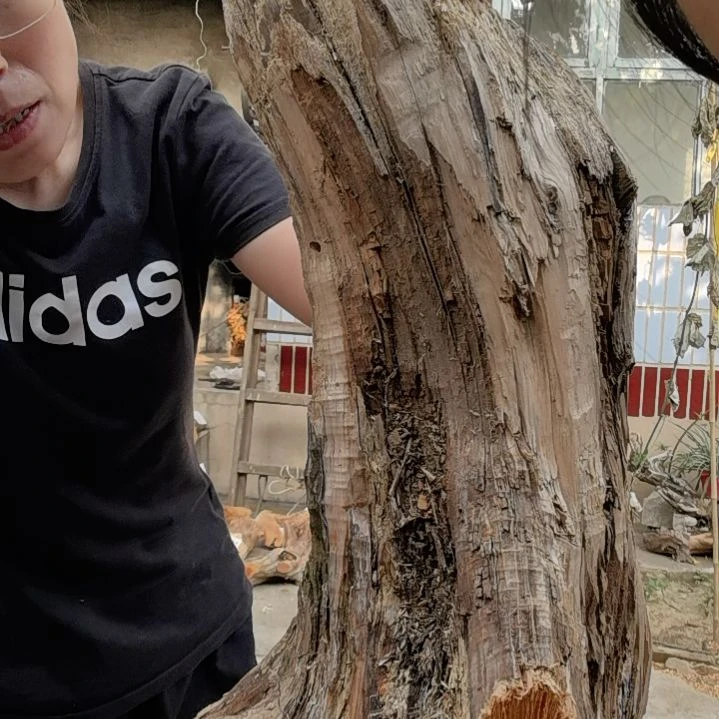 洪***景木太行崖柏摆件摆件